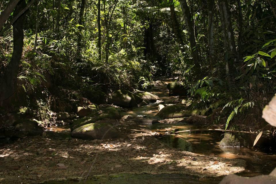 Hotel Fazenda Paraiso da Serra Congonhas  Esterno foto